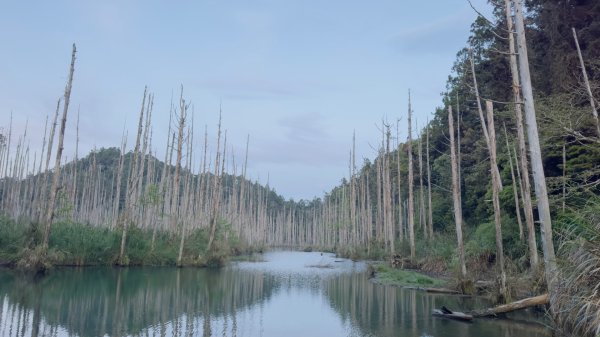 水漾森林+瞑月神木2768821