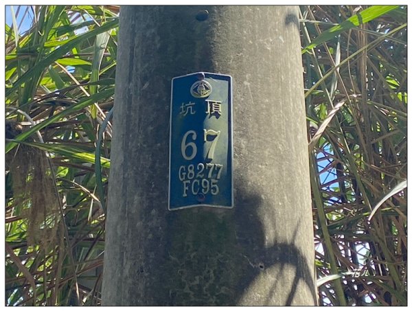 大坪頂山 (苗栗、卓蘭)2845283