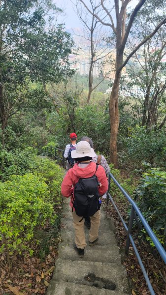 2025-0204 鶯歌_大凍山_三角埔頂山_迴龍2707979