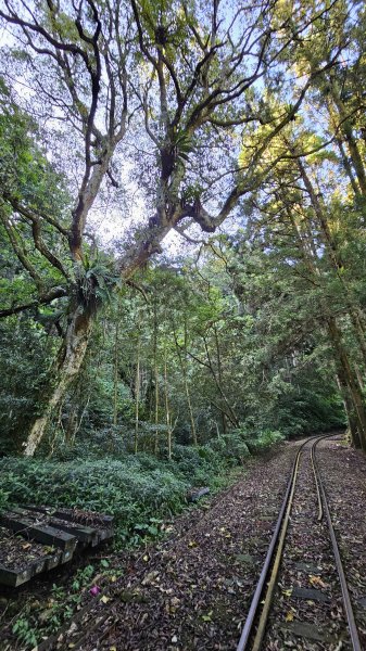 【絕版路線請勿跟進】十字路走得恩亞納-大O繞13.4K2791539