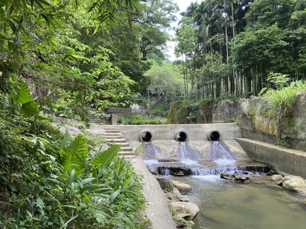 20250706-EP.08四寮溪生態步道-2025森遊竹縣皮皮獅探險隊2851869