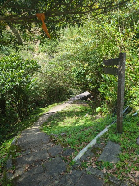 2026.03.14－微笑山線：【五分山系】3015452