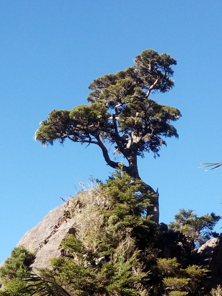 玉山排雲山莊3106671