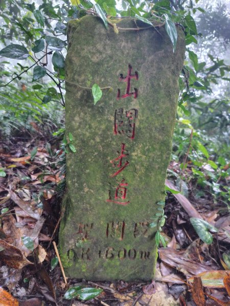 苗栗關刀山2975083