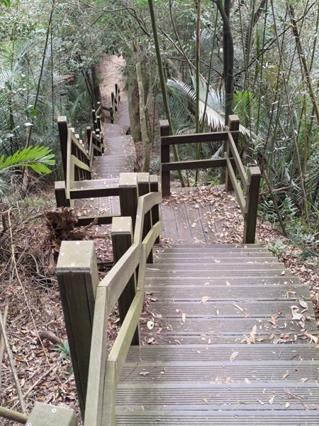 【新竹縣芎林鄉】文林古道2833079