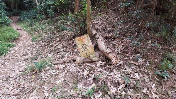 2022.03.05犁頭山_吧哩嘓山_石頭坑山（九顆基石）1696278