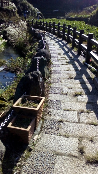 中正山．青楓步道．竹子湖93724