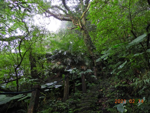 臺北 北投 向天池山、山仔頂古道1269609