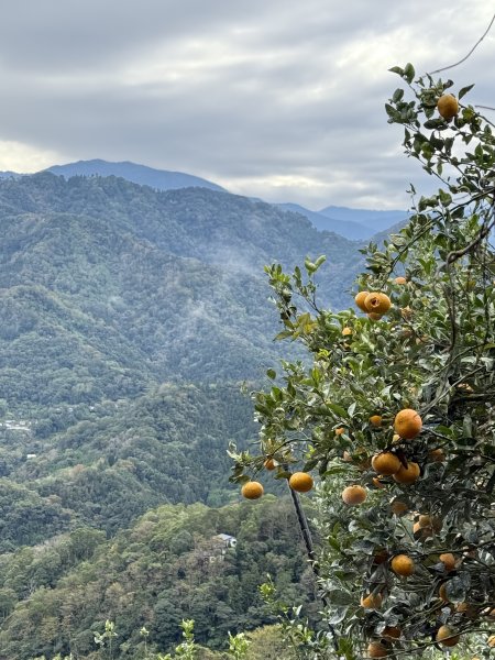 大山背山+騎龍山O繞2025.12.282979477