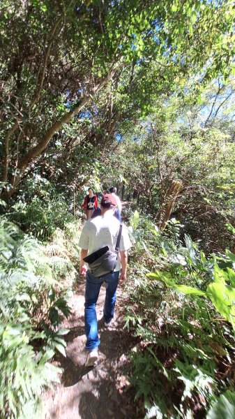 20251116 武界壩－摩摩納爾瀑布2937962