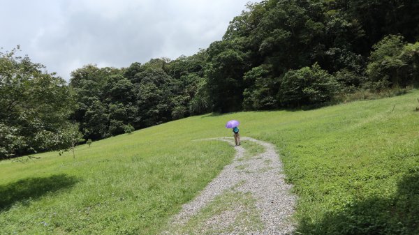 福山植物園登山健行趣(步道)2269401