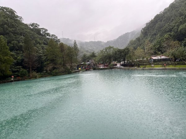 20241121_望龍埤步道2855718