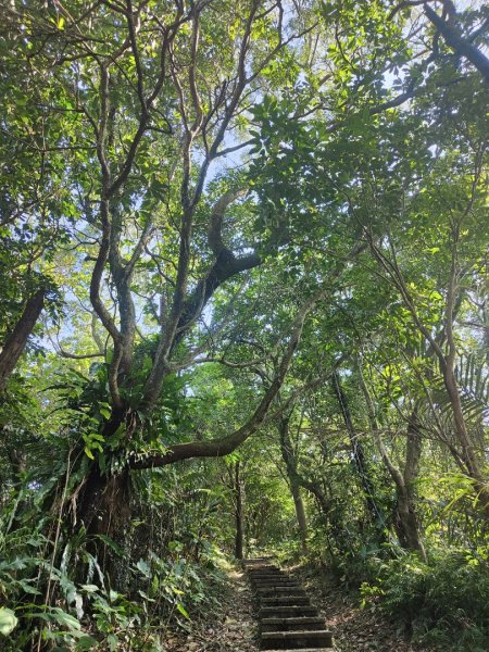 2023.12.08 土庫岳2695284