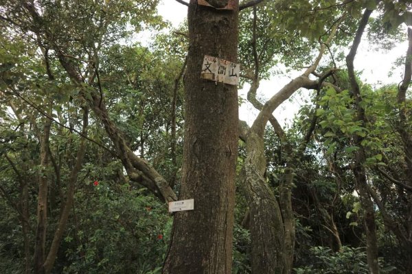 〔內湖〕文間山，劍南蝶園，劍潭古寺，婆婆橋 鄭成功廟步道2249276