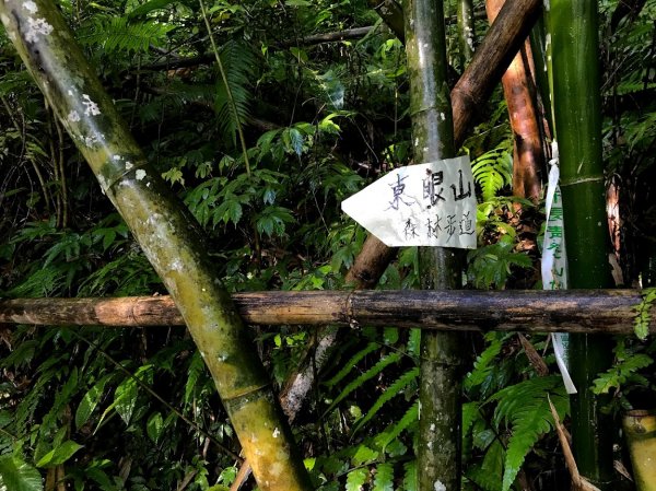 拉卡山前鋒_拉卡山_東滿步道滿月圓小O型201907271964402