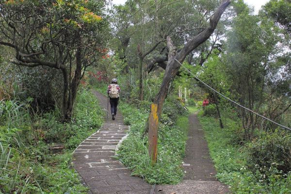 紅淡山原路來回358985