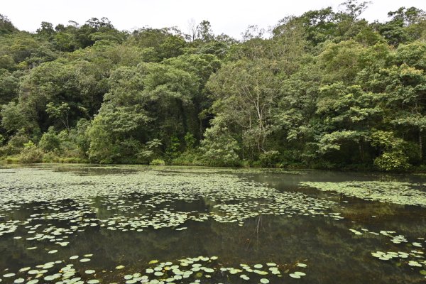 2025_0712 福山植物園2836167