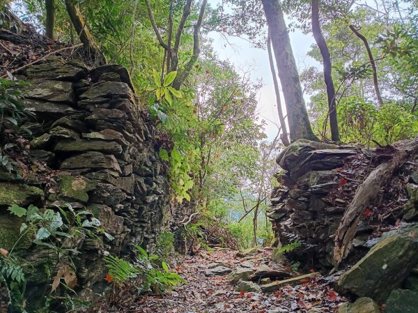 2025 12/27 鳴海山2971001