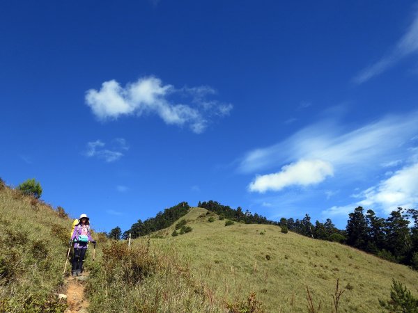 志佳陽大山 賞旭日雲彩 08/15-161072665