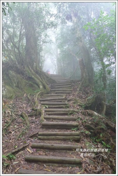 苗栗大湖。馬拉邦山雲霧中賞楓