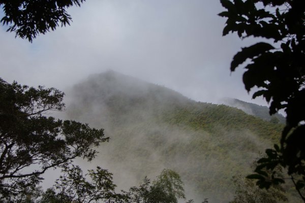 步道巡訪員 l 四大天王山步道第11巡～1177770