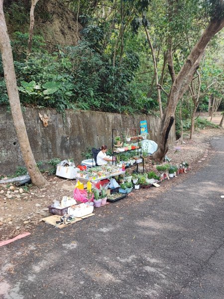 藤山步道-(彰化)臺灣百大必訪步道2471107