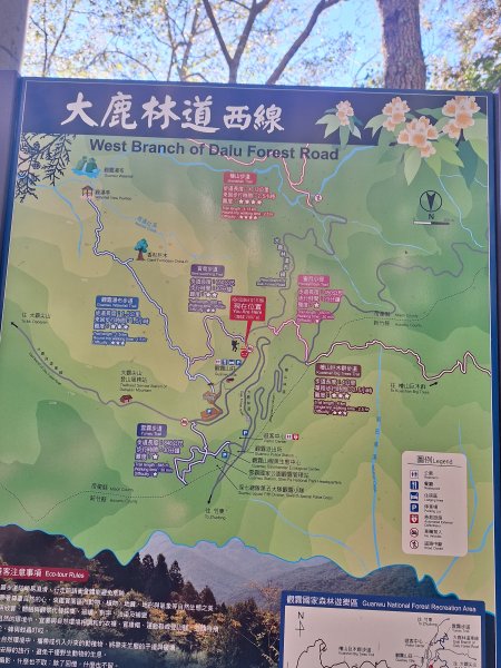 觀霧之榛山O型202411232653877