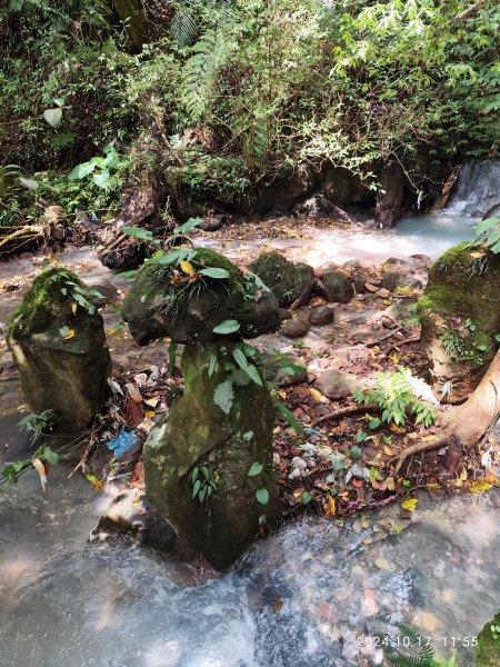 陽明公園→花鐘→小隱潭→湖山綠地→前山公園→陽明湖→陽明醫院舊址【發現陽明山】2-22629193