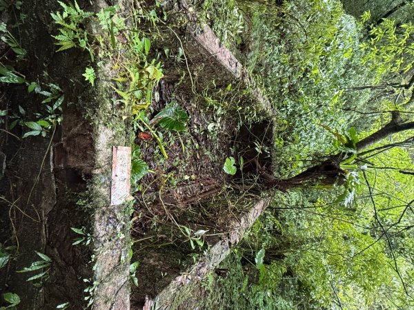 三林一后一紙及武山煤礦文化遺址8字行2991134