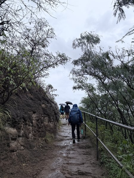 鑽石頭山及珍珠港悠遊  2026.2.213012715