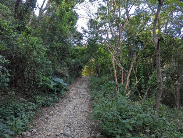 防護措施完善的五星級步道：里龍山(小百岳#80)1535883