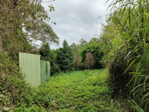 2024.03.24 飛鳳古道2908492