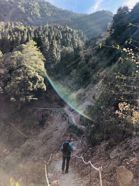 1090122檜山巨木群步道815622