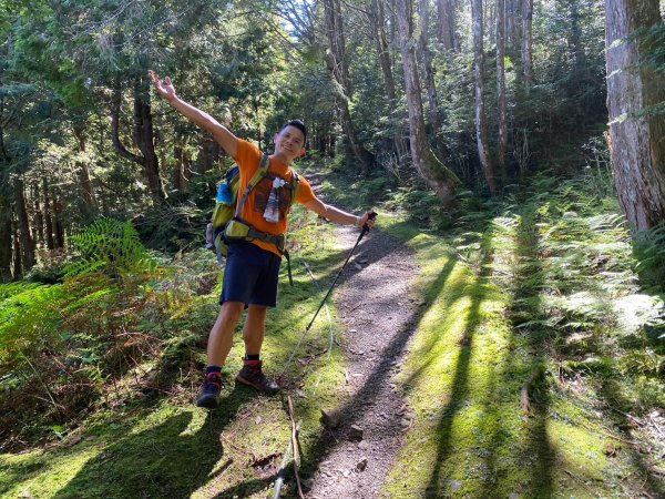 雙龍林道-巒安堂-西巒大山【一切都很美好 除了肩膀之外】2567823