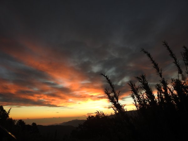 志佳陽大山 賞旭日雲彩 08/15-161072651