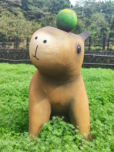 新店到貓空10K（台北天際線1部份路段）2993628