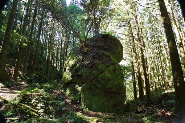 新竹 尖石 貴妃山、那結山2913604