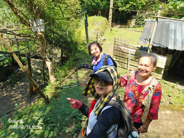 【菁桐】巡山東勢格古道全段加碼臭頭山2848019