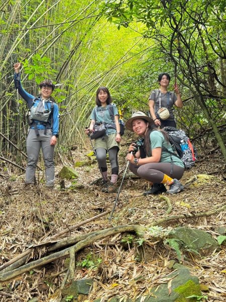 20240421 《登》雪山尾稜（隆嶺古道）2501605