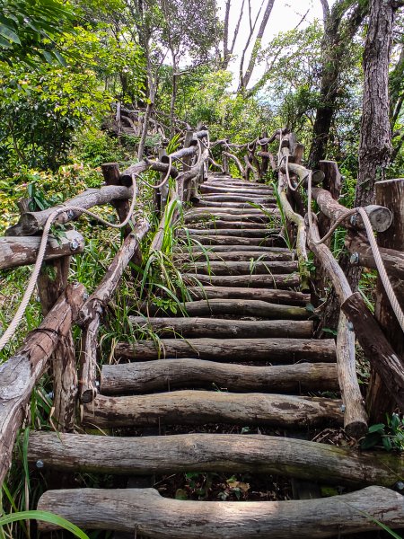 大坑3號登山步道1684741