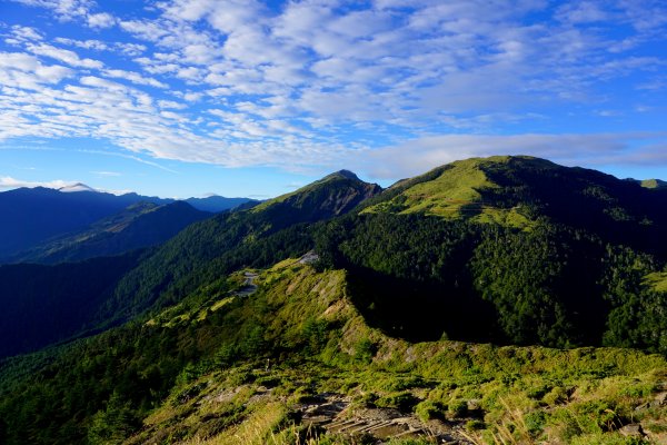 鳥山。不鳥 ~ 合歡西峰439614