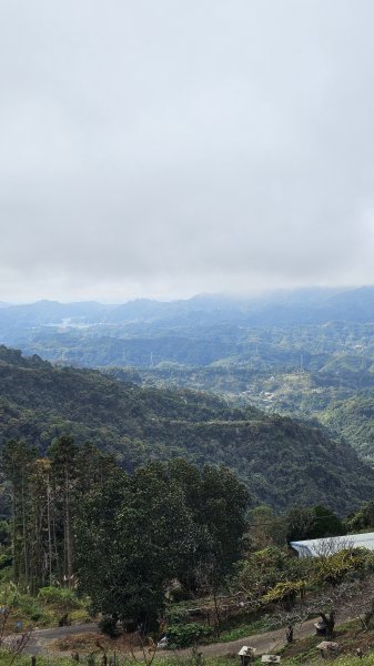 【馬年走馬山，馬到就成功！】🐴馬年馬路要走，馬那邦🏔️也要登！O繞11K，爬升900M，🥾腿在2977201