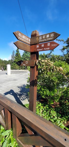 2022-09-10 塔山步道、姊妹潭、巨木群步道、小笠原山觀景台1840897