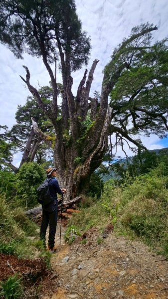 20250620南橫三山塔關山2816711