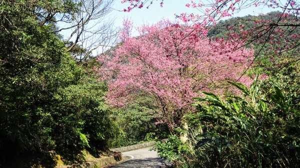 春天的顏色1279647