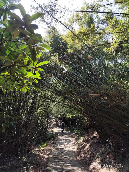 【臺北大縱走 5】碧山巖→忠勇山越嶺步道→金龍產業道路→圓明寺步道→鄭成功廟步道→文間山→劍潭山步道2744831