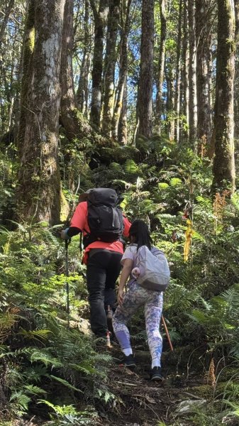 20250913小百岳三星山2885227