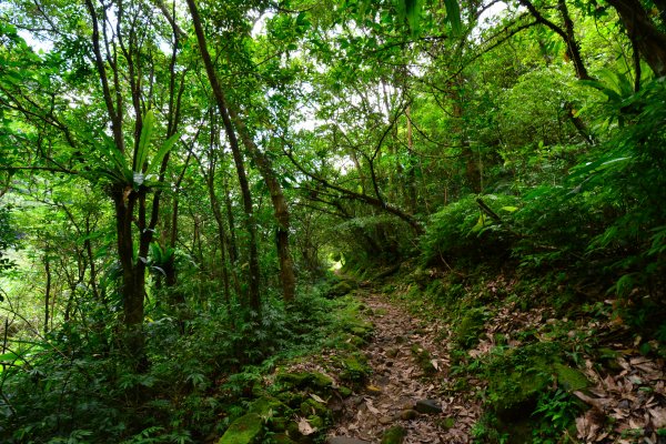 灣潭古道-探索夢潭真面目1032156