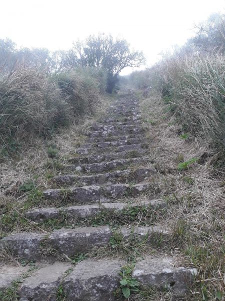 大屯山山系，~南峰，西峯301435