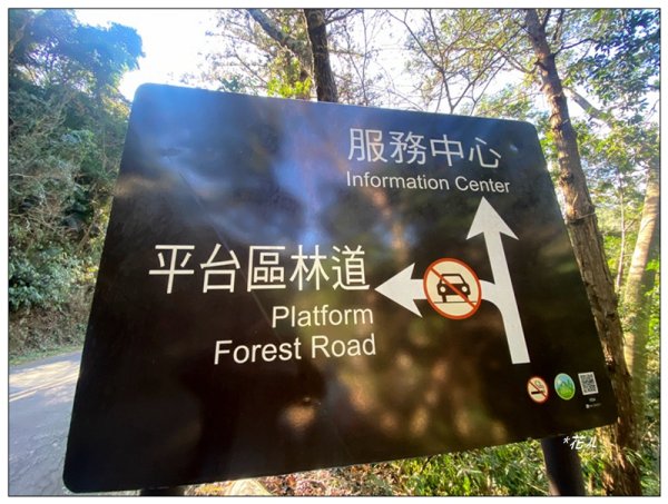 北港溪峽谷步道 (冬季限定路線)2988024